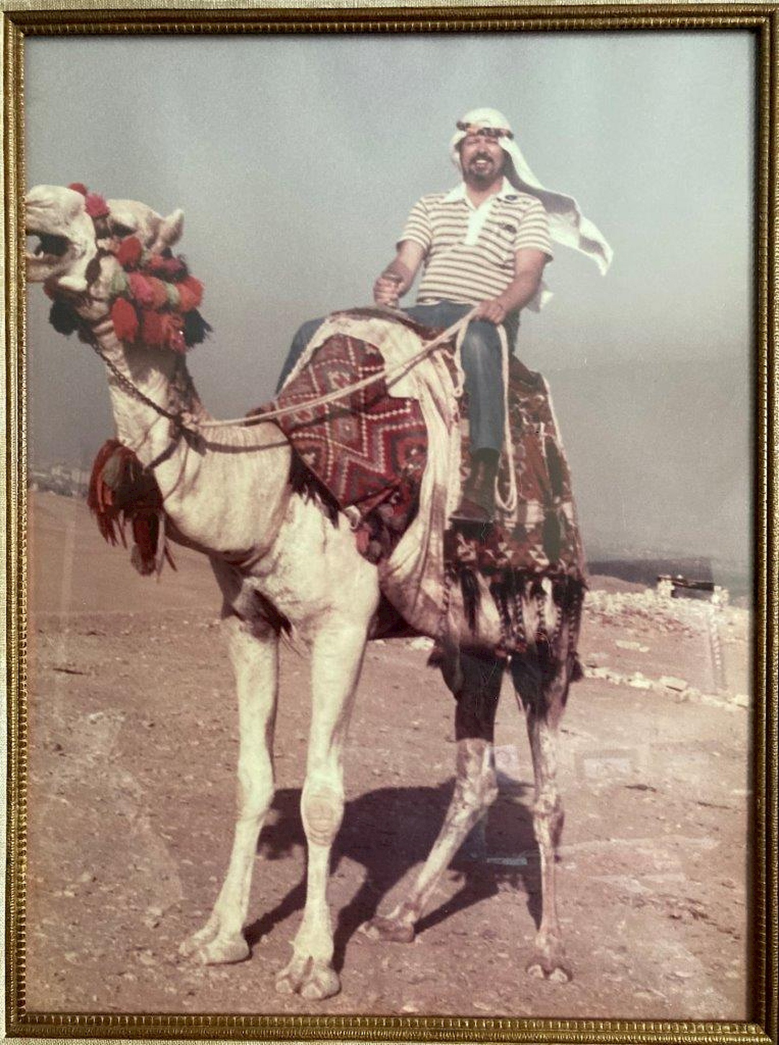 Jim in Egypt in 1982, looking very majestic.